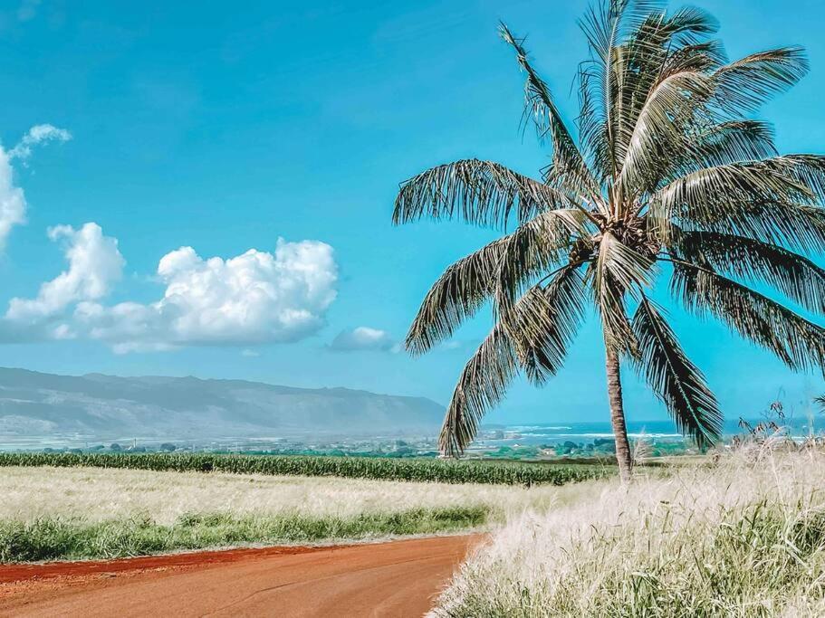 Cute Off Grid Glampsite With Wifi- 5 Min From Haleiwa Town Ξενοδοχείο Εξωτερικό φωτογραφία