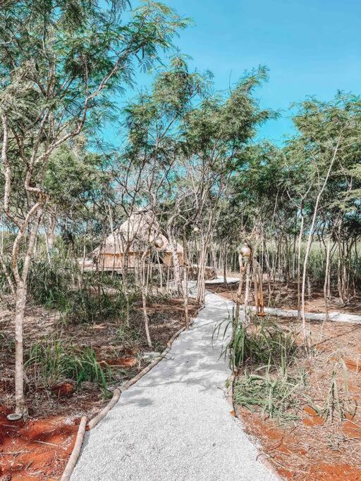 Cute Off Grid Glampsite With Wifi- 5 Min From Haleiwa Town Ξενοδοχείο Εξωτερικό φωτογραφία