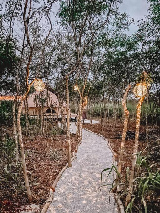 Cute Off Grid Glampsite With Wifi- 5 Min From Haleiwa Town Ξενοδοχείο Εξωτερικό φωτογραφία
